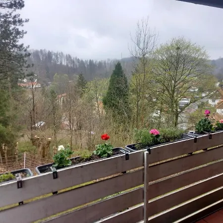 Harzblick Apartament